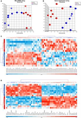 Inhibition of miR-378a-3p by Inflammation Enhances IL-33 Levels: A Novel Mechanism of Alarmin Modulation in Ulcerative Colitis